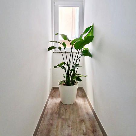 Ljubljana Central Cozy Apartment W Free Parking المظهر الخارجي الصورة