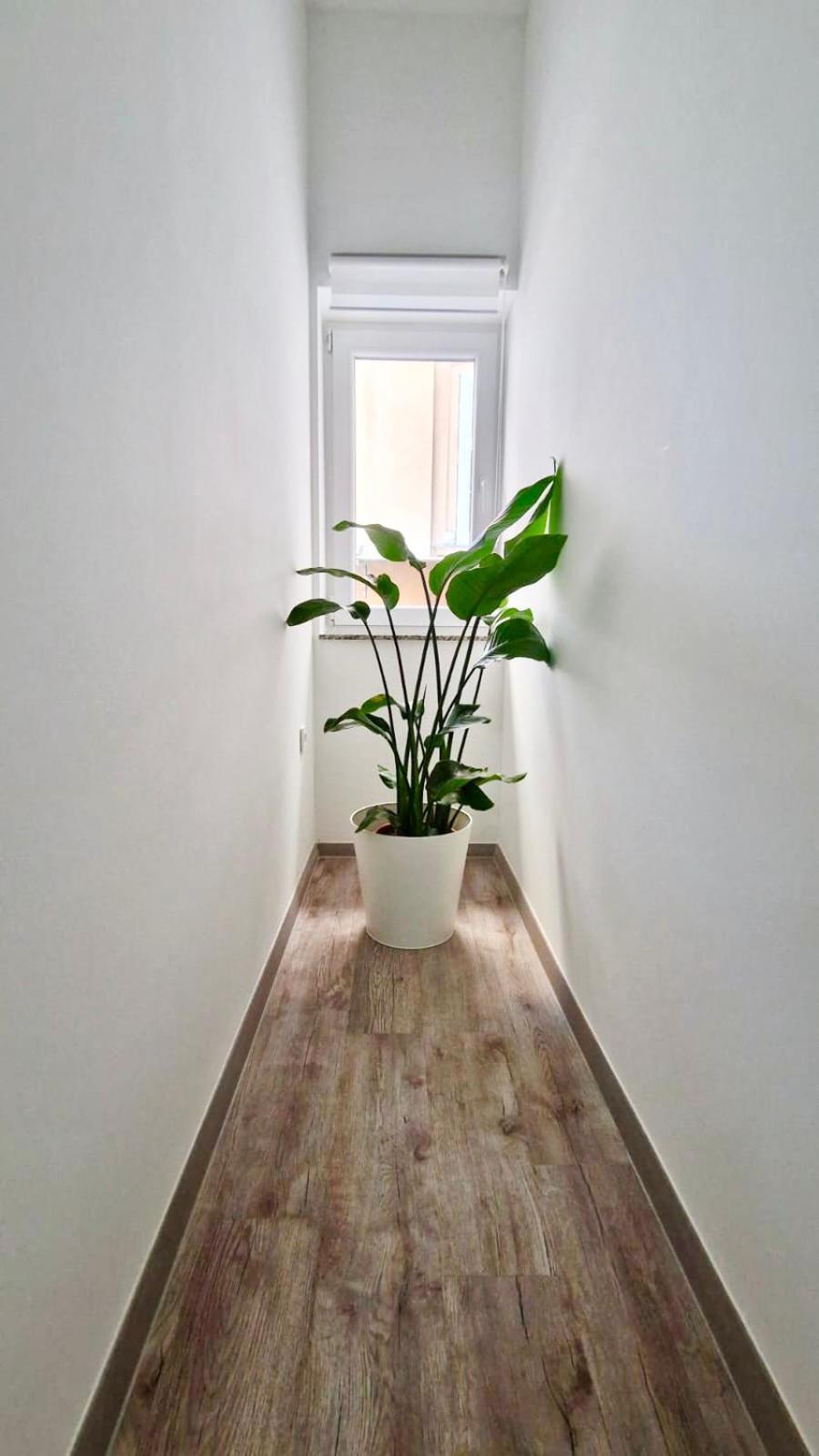 Ljubljana Central Cozy Apartment W Free Parking المظهر الخارجي الصورة